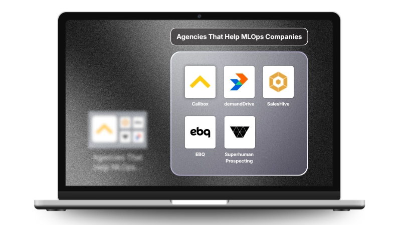 How can each of these agencies help an MLOps company specificallY