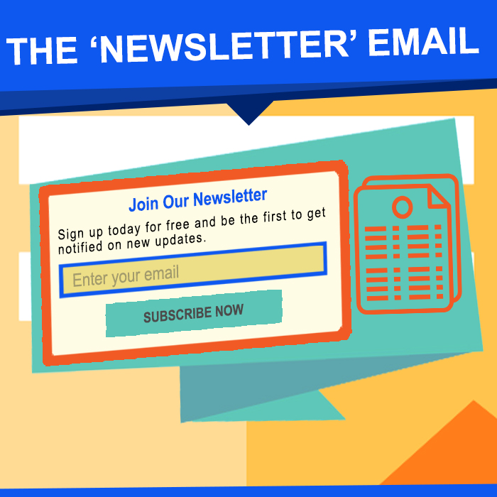 The Newsletter The Newsletter