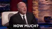 How Much Does The Product or Service Cost?