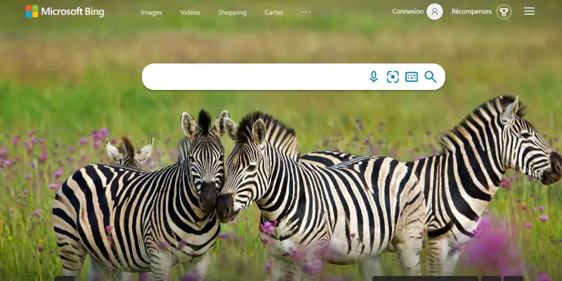 Microsoft Bing