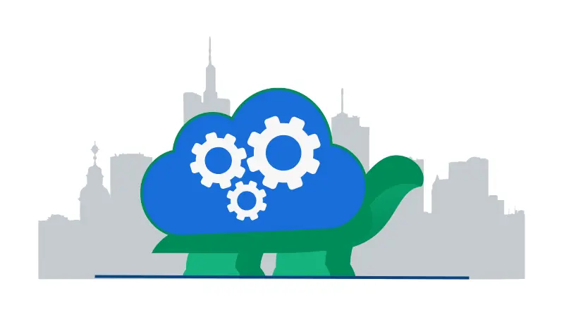 turtle represent a slow and steady cloud buyer